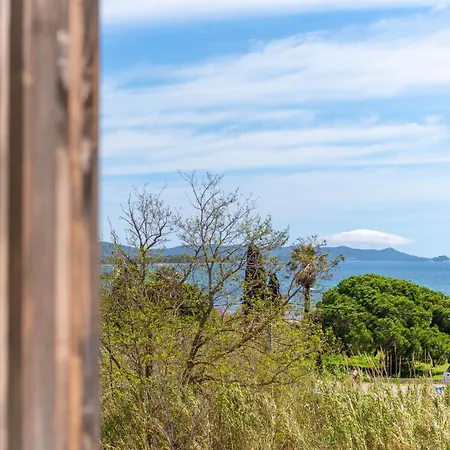 Vue 50m Des Salins Piscine 2 Parkings Terrasse Apartmán Hyères