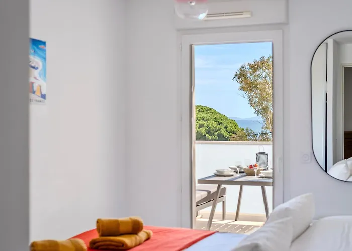 Vue 50m Des Salins Piscine 2 Parkings Terrasse * Hyères