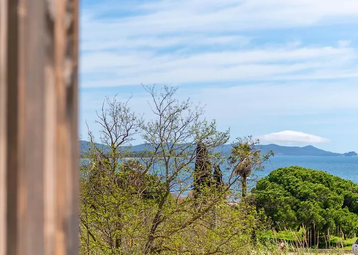 Vue 50m Des Salins Piscine 2 Parkings Terrasse Apartment Hyères